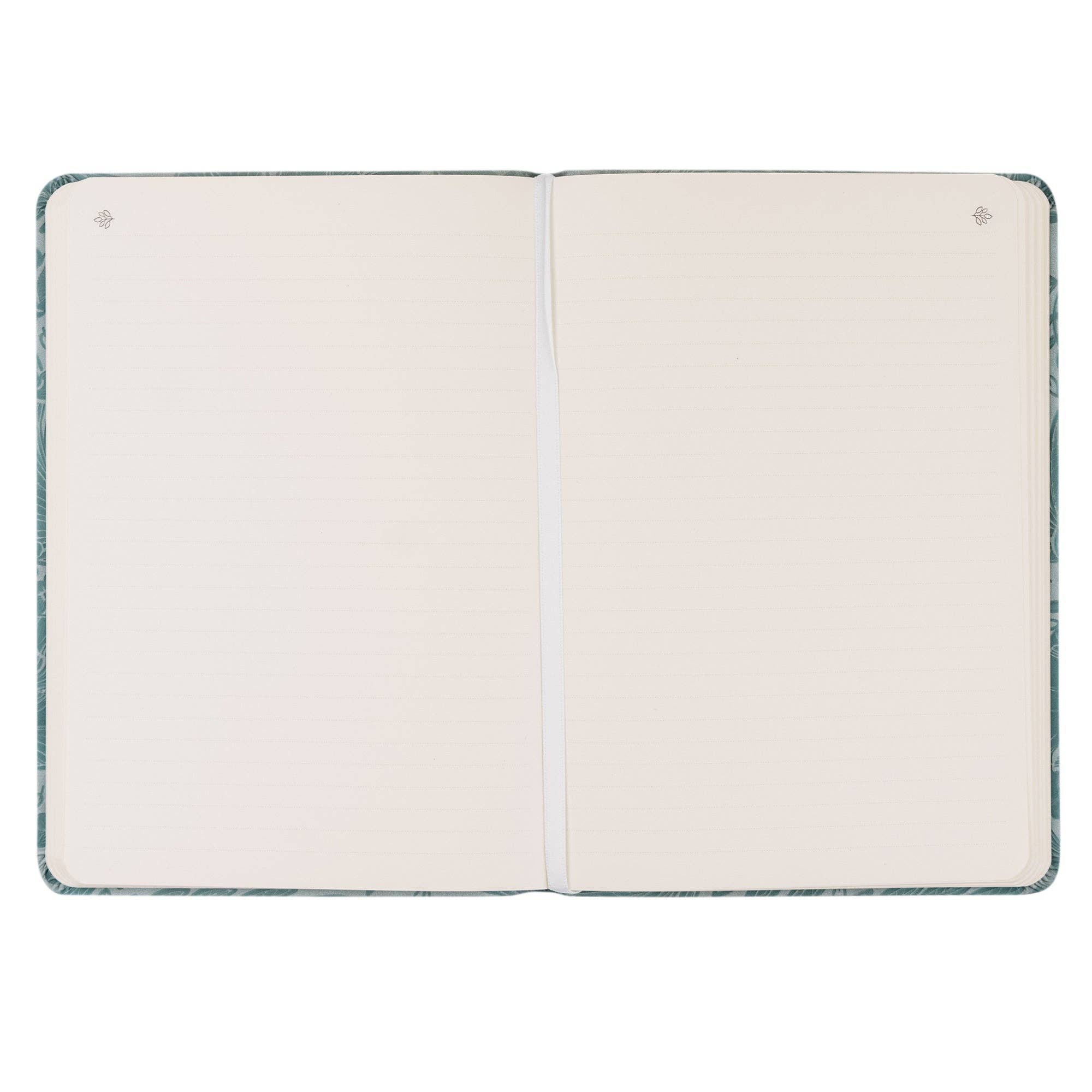 Hosanna Revival • Sonora Notebook
