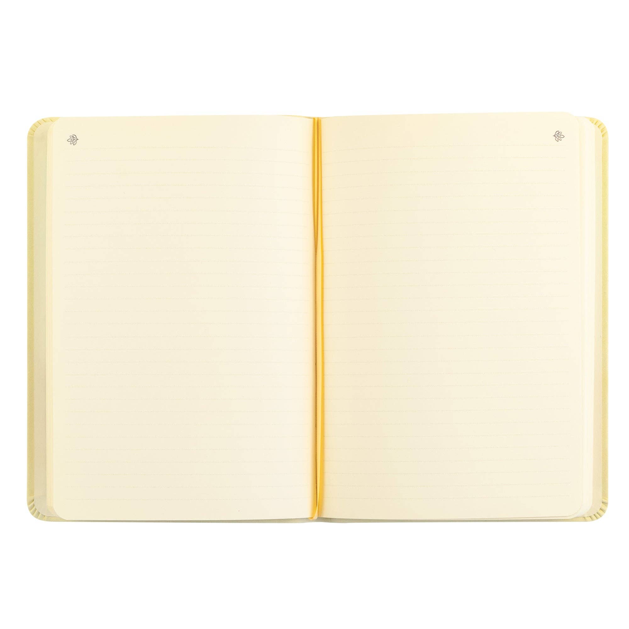 Hosanna Revival • Belfast Notebook