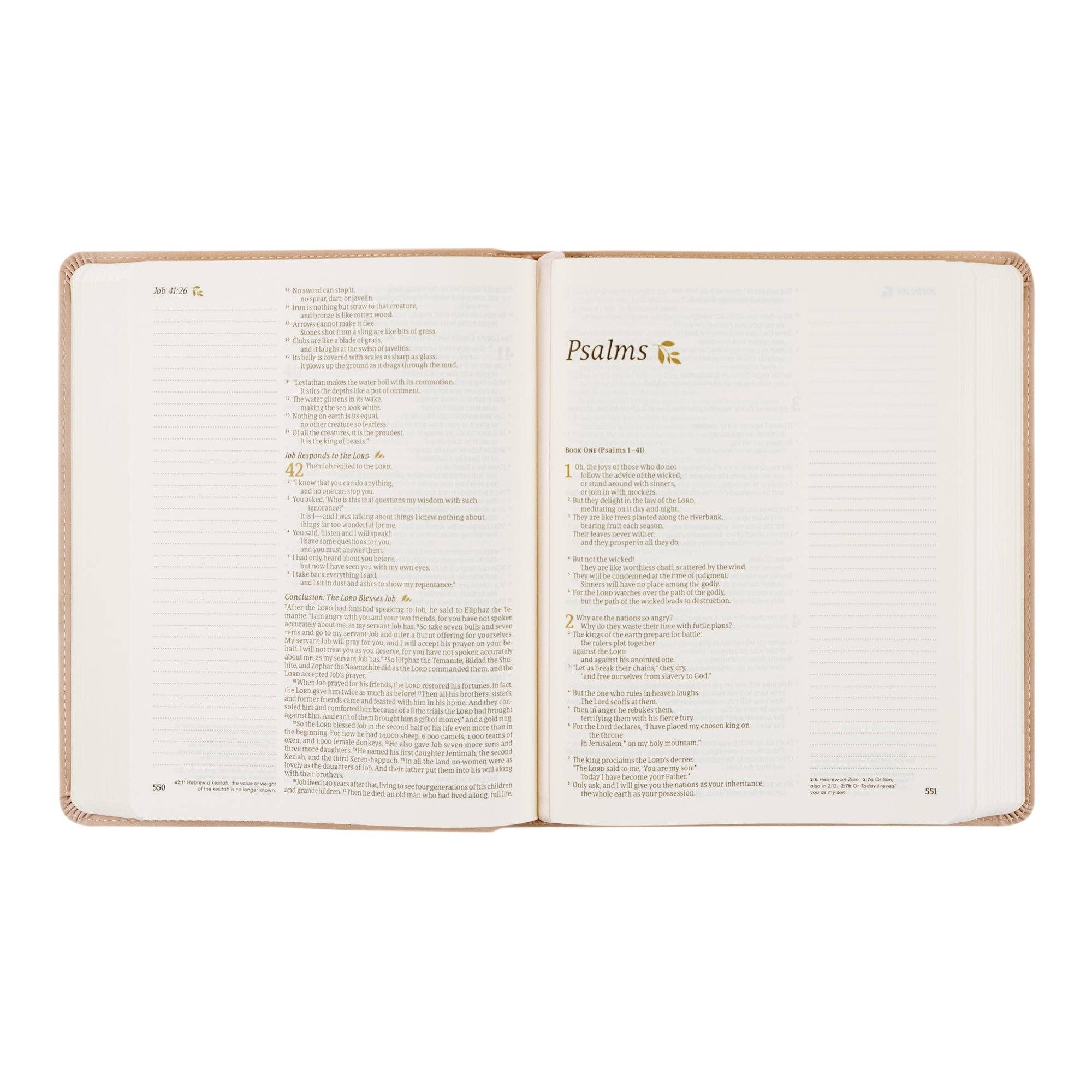 Hosanna Revival • NLT Notetaking Bible — Shiloh Theme