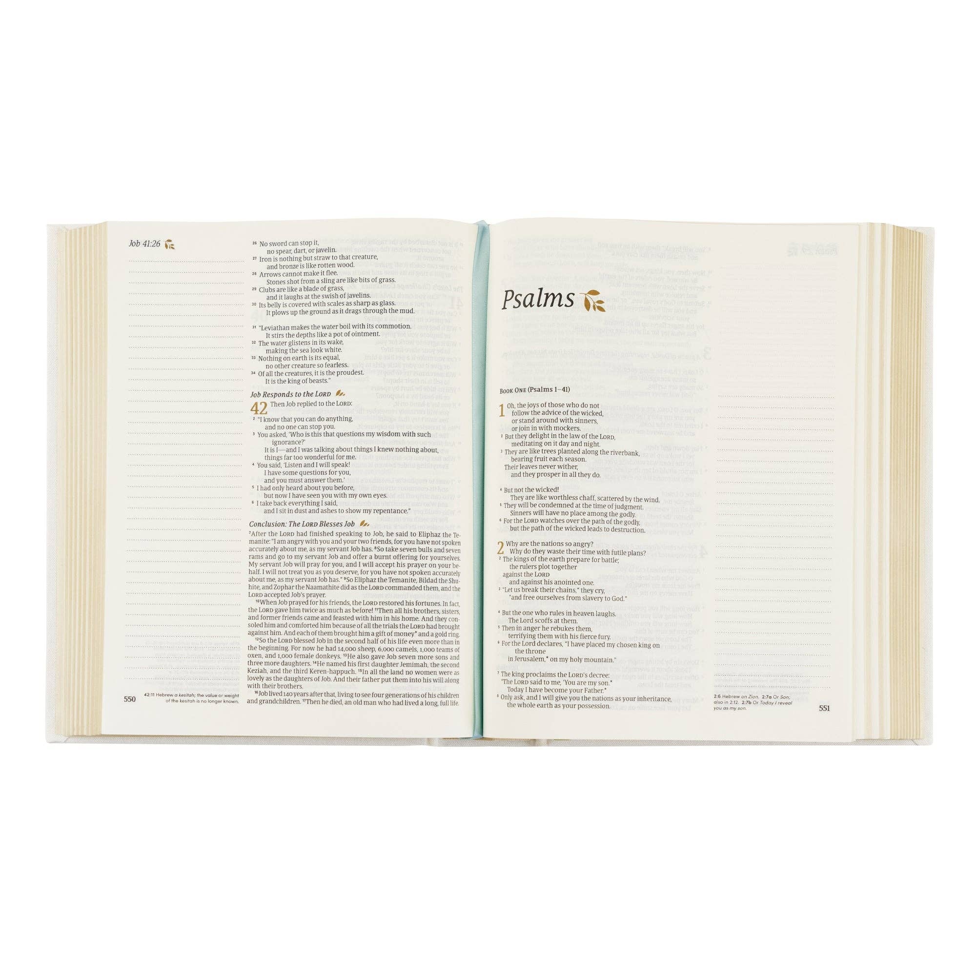 Hosanna Revival • NLT Notetaking Bible — Lisbon Theme