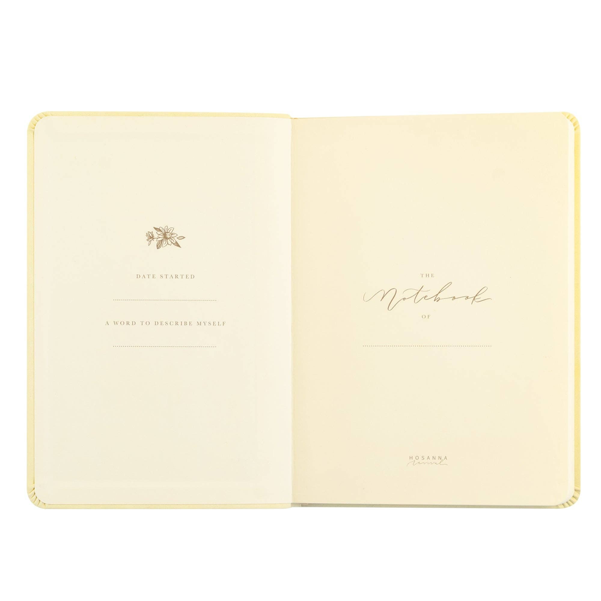 Hosanna Revival • Belfast Notebook