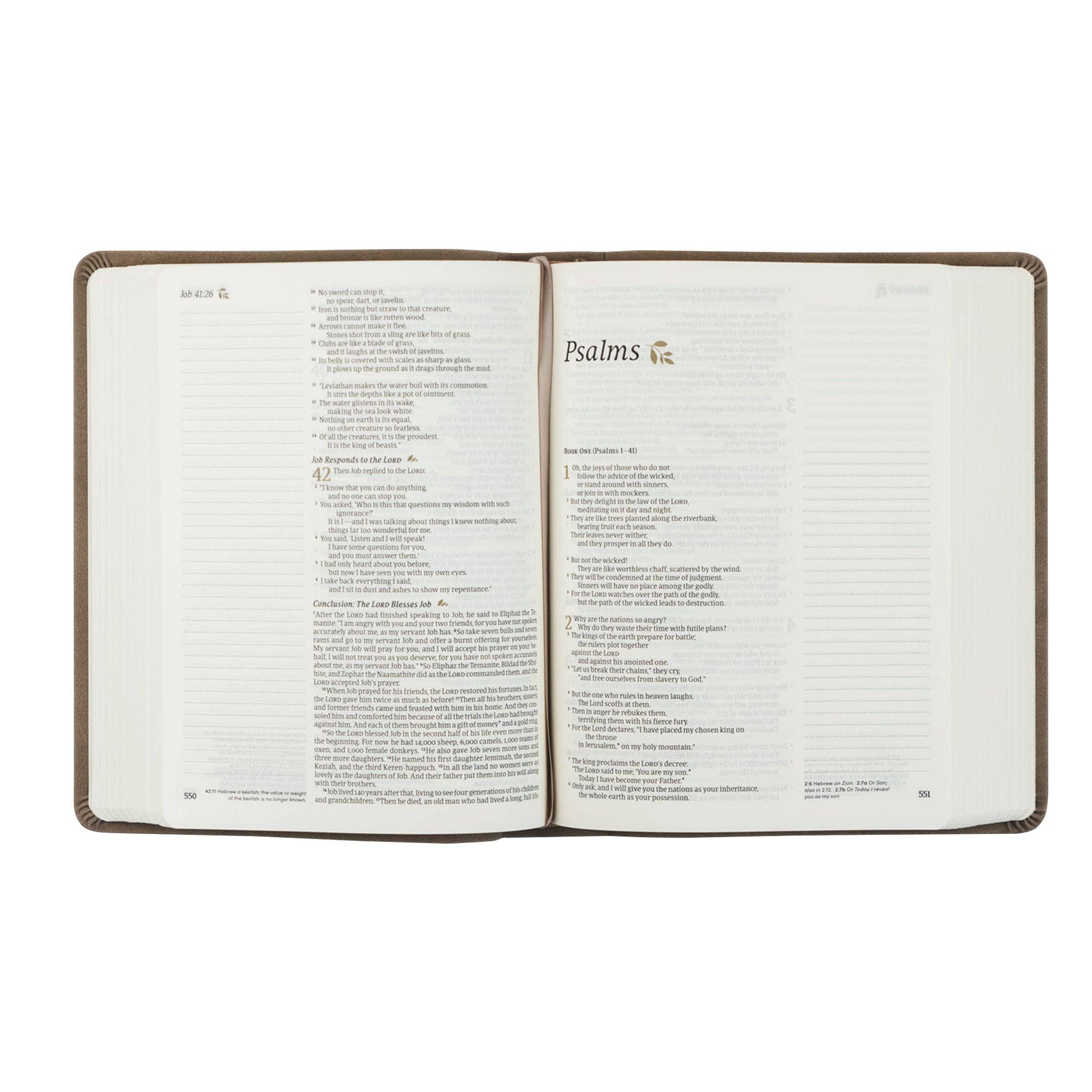 Hosanna Revival • NLT Notetaking Bible — Marlo Theme
