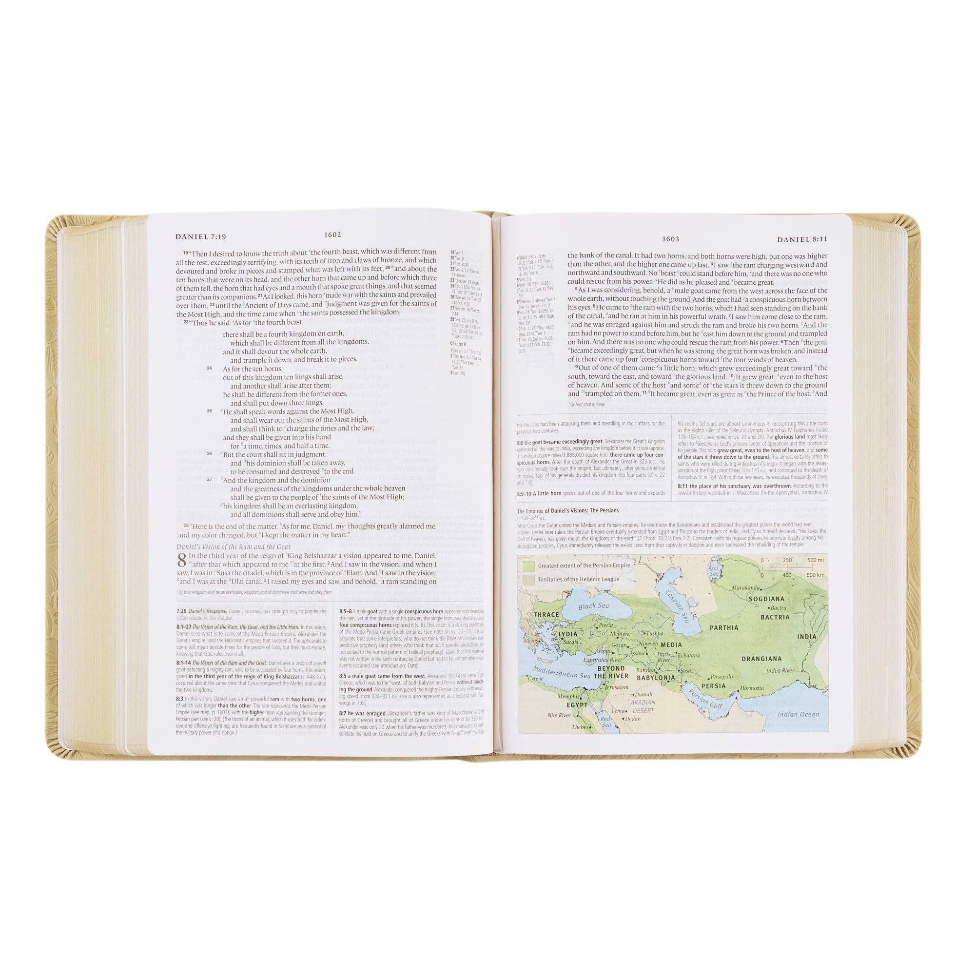 Hosanna Revival • ESV Study Bible — Sonora Theme
