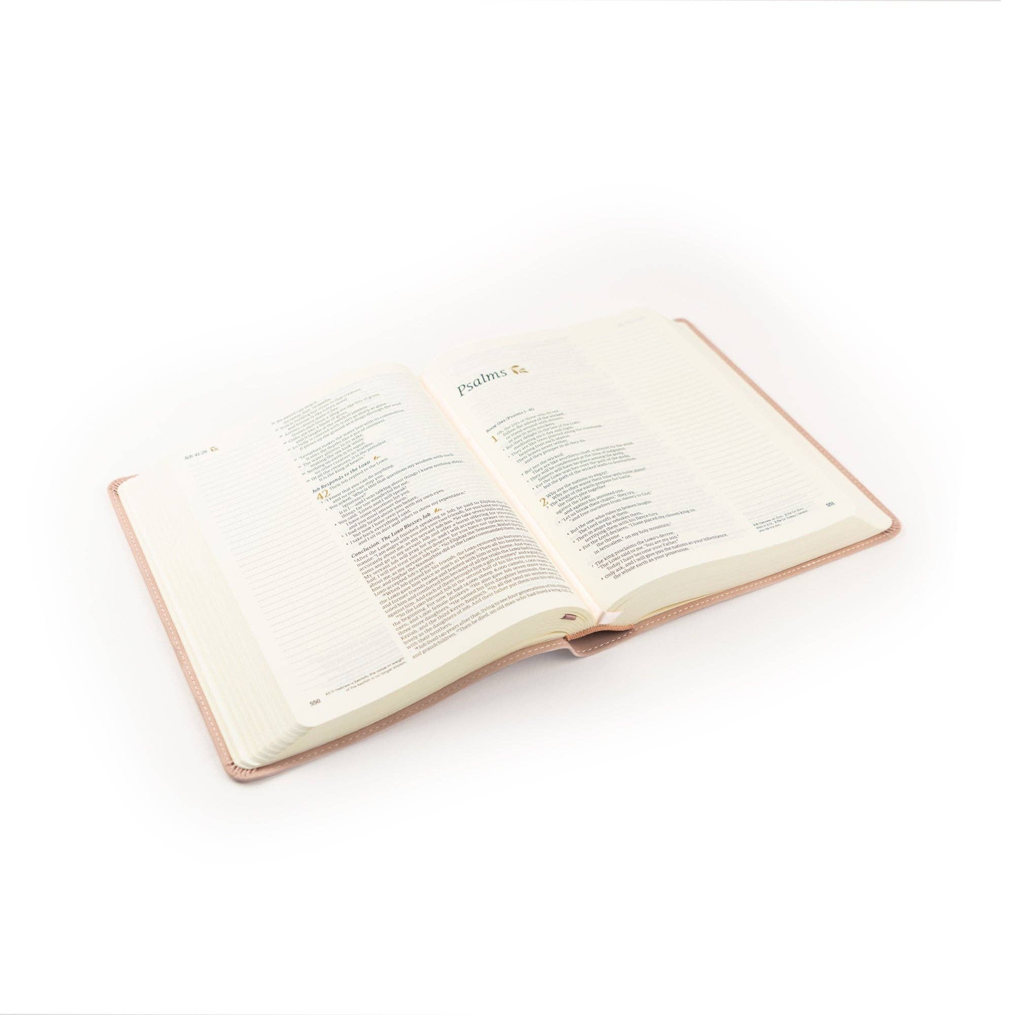 Hosanna Revival • NLT Notetaking Bible — Shiloh Theme