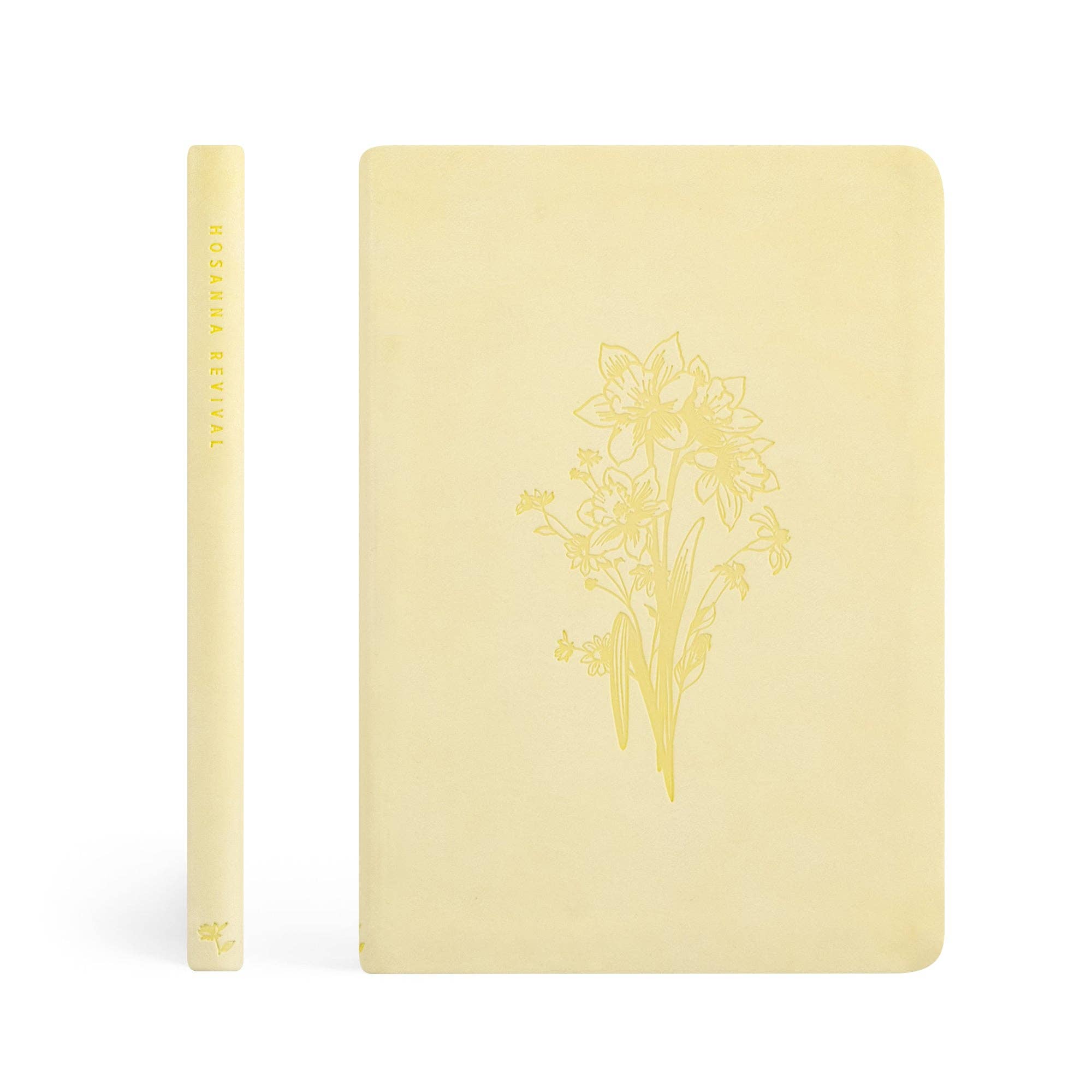 Hosanna Revival • Belfast Notebook