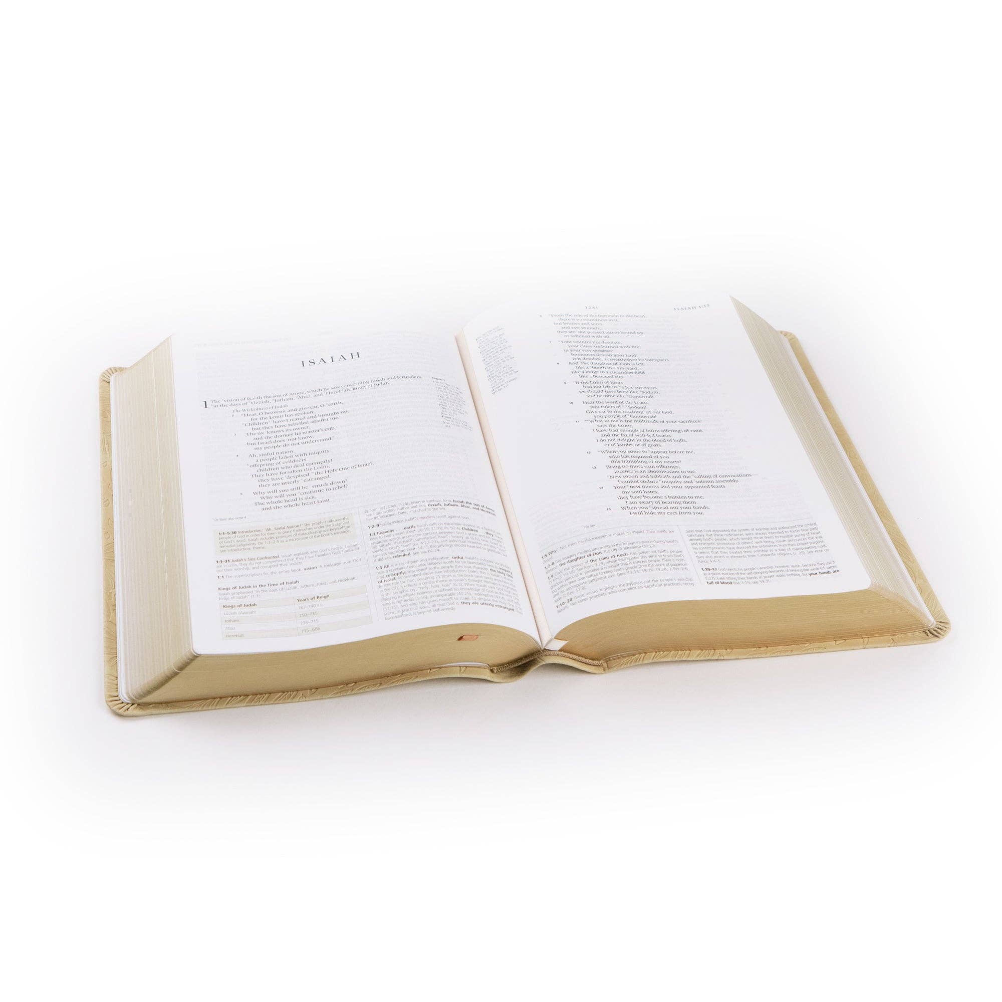 Hosanna Revival • ESV Study Bible — Sonora Theme